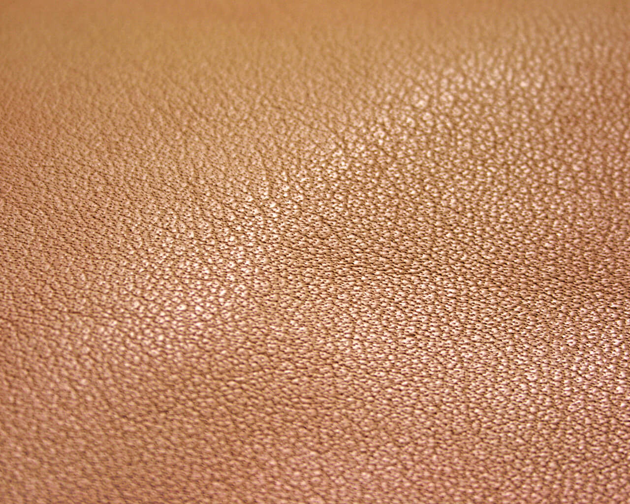 Versatile Leather And Its Many Shades And Colours